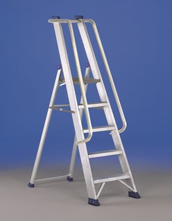 scala regina vip svelt