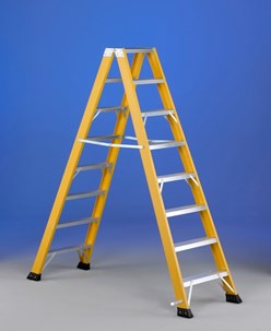 scala V6 svelt